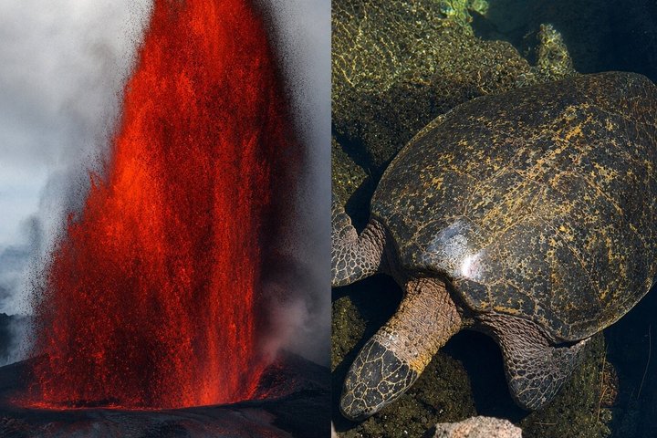 Big Island : Volcans d'Hawaii, cascades et Hilo Adventure