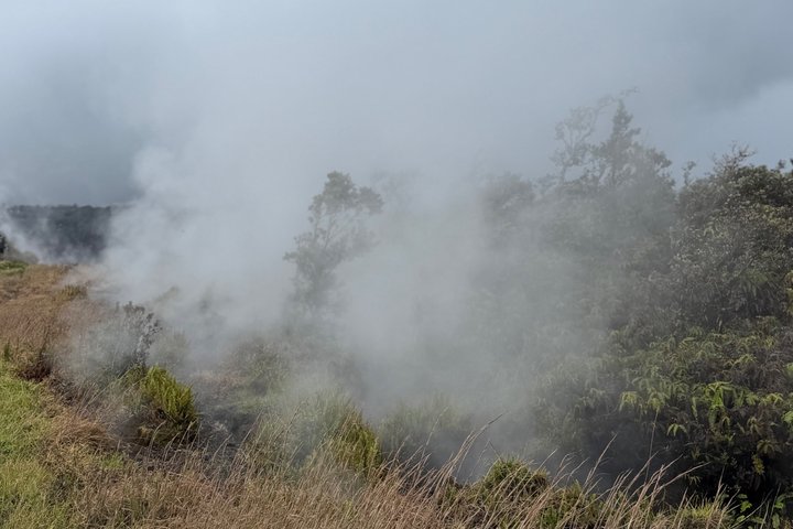 Big Island : Volcans d'Hawaii, cascades et Hilo Adventure