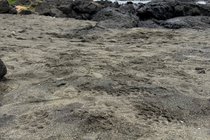 Big Island : Volcans d'Hawaii, cascades et Hilo Adventure