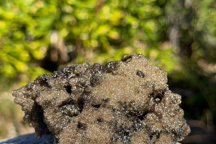 Aventura no Parque Nacional dos Vulcões do Havaí