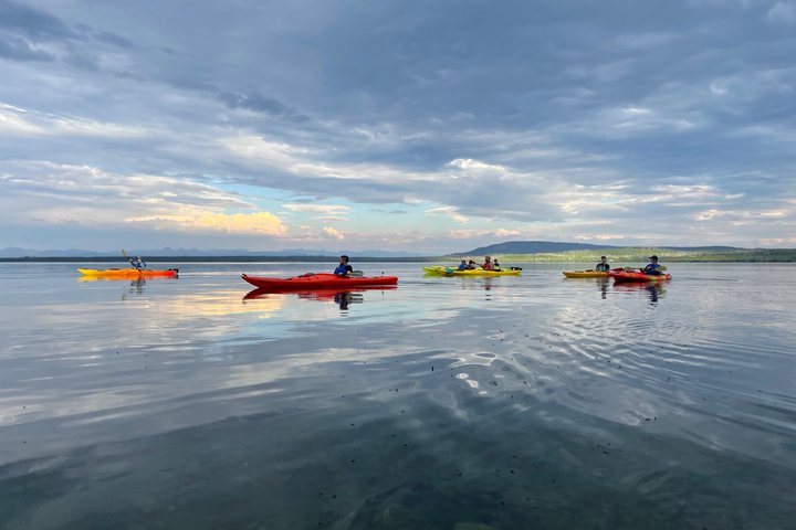 Lago Yellowstone e fontes termais / excursão matinal ou crepuscular de 3 horas