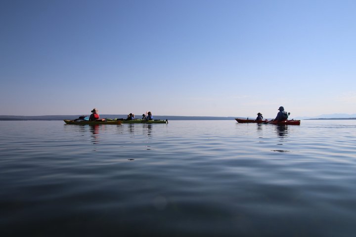 Lago Yellowstone e fontes termais / excursão matinal ou crepuscular de 3 horas