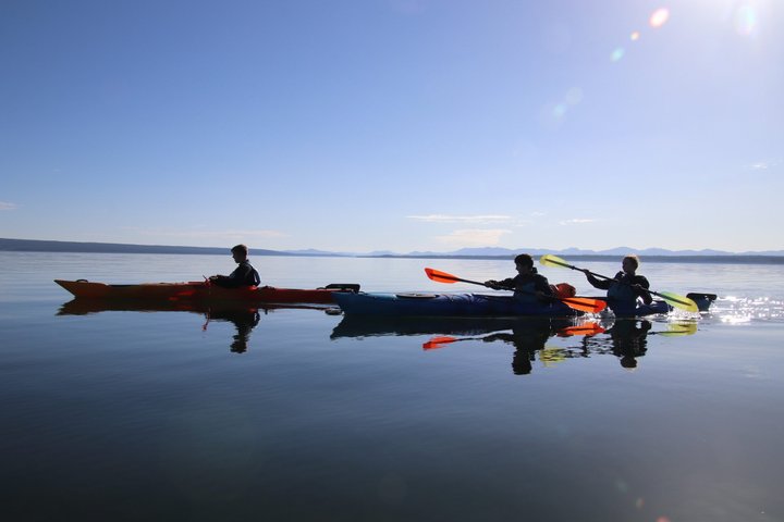 Lago Yellowstone e fontes termais / excursão matinal ou crepuscular de 3 horas