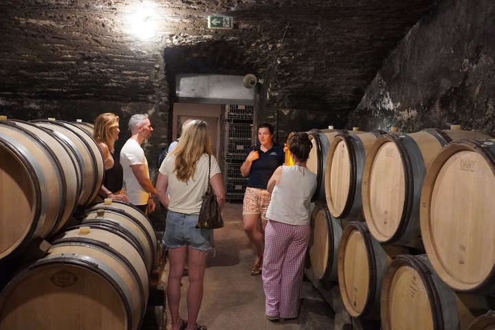 Ab Dijon: Ganztägige Tour durch das Beste von Burgund inklusive Mittagessen