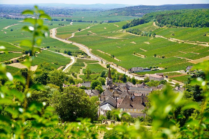 Ab Dijon: Ganztägige Tour durch das Beste von Burgund inklusive Mittagessen