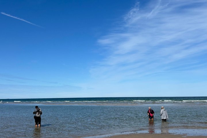 Skagen privat halvdagstur från kryssningshamnen