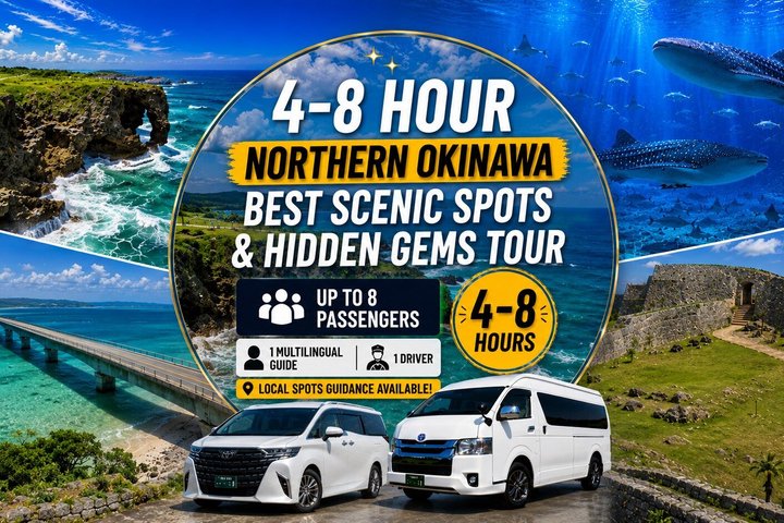 Tour panoramico e delle gemme nascoste di Okinawa settentrionale 1–8 ospiti(4 - 8H)