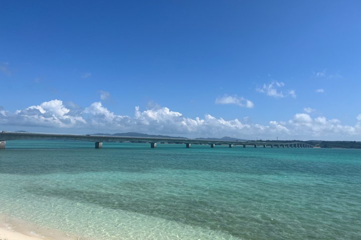 Tour panoramico e delle gemme nascoste di Okinawa settentrionale 1–8 ospiti(4 - 8H)