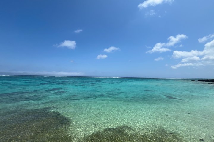 Tour panoramico e delle gemme nascoste di Okinawa settentrionale 1–8 ospiti(4 - 8H)