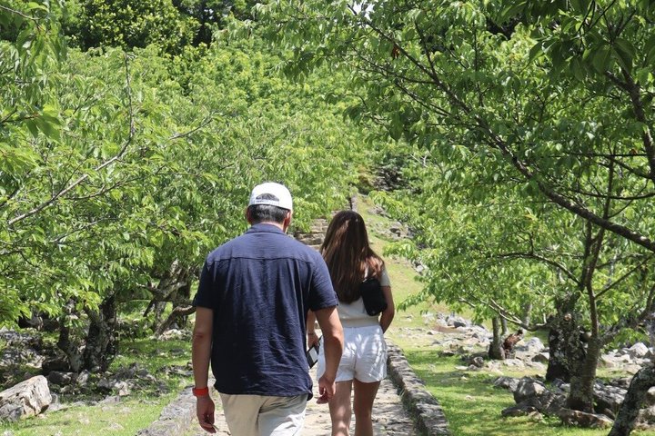 Tour panoramico e delle gemme nascoste di Okinawa settentrionale 1–8 ospiti(4 - 8H)