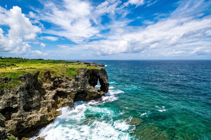 Tour panoramico e delle gemme nascoste di Okinawa settentrionale 1–8 ospiti(4 - 8H)