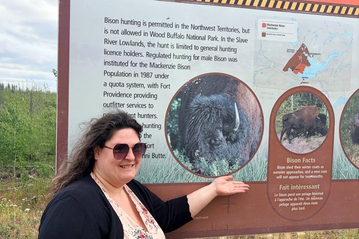 Bison und North Arm Scenic Highway Bustour