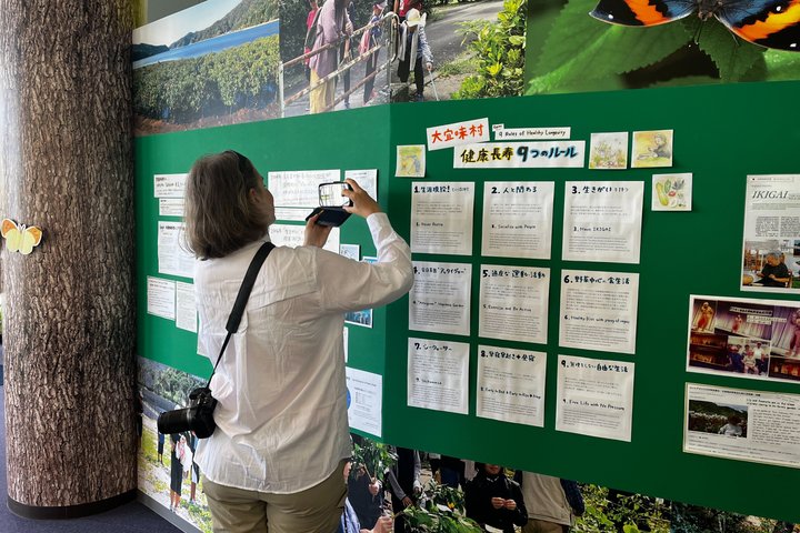 Okinawa Ikigai Blue Zone Tour med Guide och chaufför 1–8 gäster
