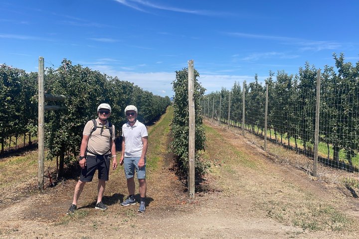 Visite du vin de Kelowna en vélo électrique avec dégustations, déjeuner et vue sur l'Okanagan