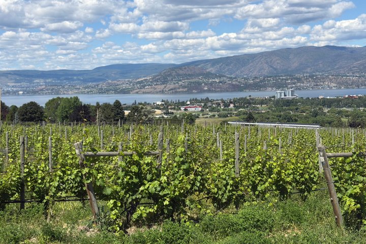 Visite du vin de Kelowna en vélo électrique avec dégustations, déjeuner et vue sur l'Okanagan