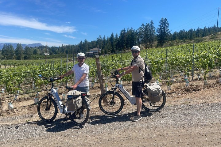 Visite du vin de Kelowna en vélo électrique avec dégustations, déjeuner et vue sur l'Okanagan