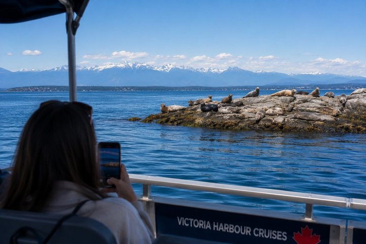 NUEVO Victoria Harbour 75 min Tour en barco con guía turístico