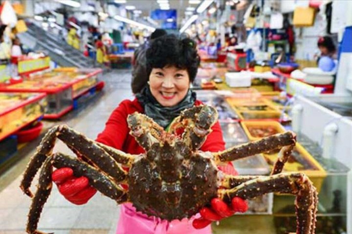 Puerto de cruceros de Busan – Excursión Premium para grupos pequeños (máx. 6 personas)