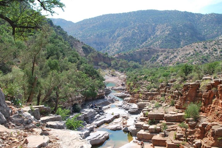 Tour por Paradise Valley con Cabras Trepadoras y Tour de Aceite de Argán