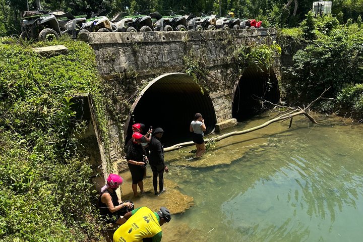 Tour en safari por la selva desde Montego Bay