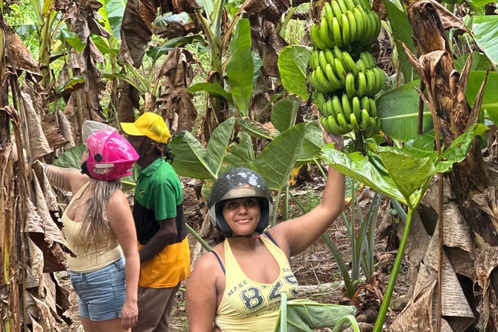 Tour en safari por la selva desde Montego Bay