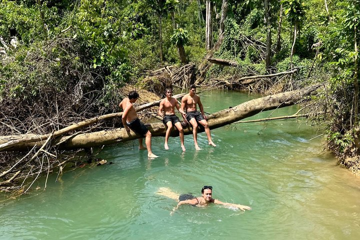 Tour en safari por la selva desde Montego Bay