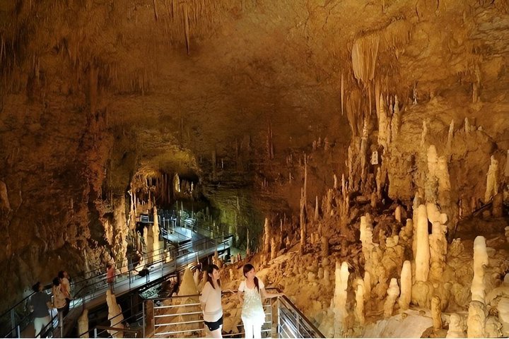 Billet Okinawa World Gyokusendo Cave and Kingdom Village