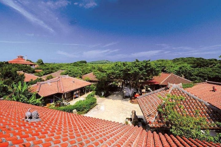 Billet Okinawa World Gyokusendo Cave and Kingdom Village