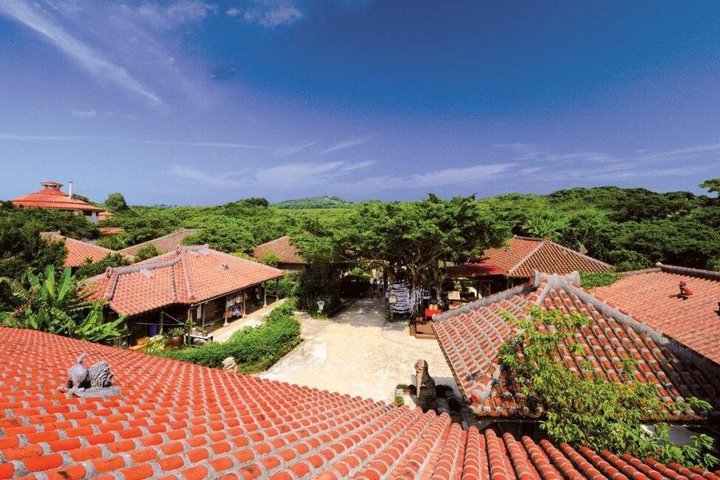 Billet Okinawa World Gyokusendo Cave and Kingdom Village