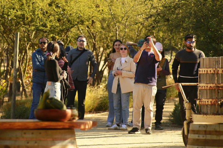 4 Exclusive & boutique wineries in Casablanca - Tanino Restaurant