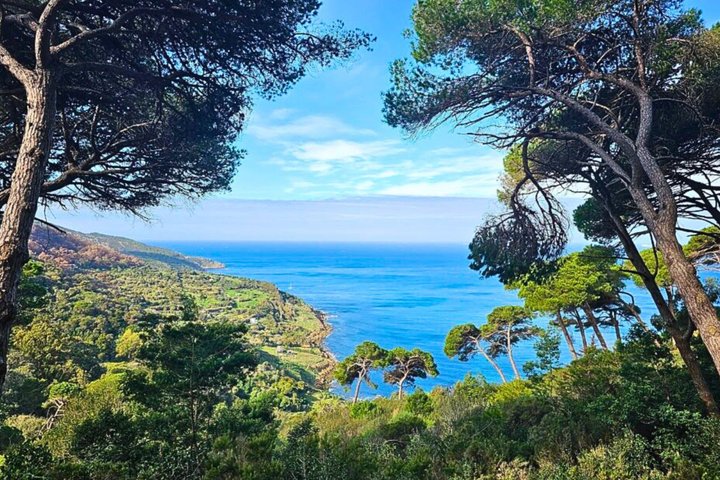 Cape Spartel & Hercules Caves Tour de 5 horas con paseo en camello