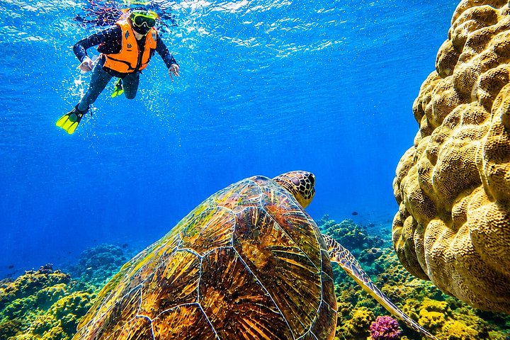 Tour privado de snorkel en la playa de Ishigaki y turismo en la isla