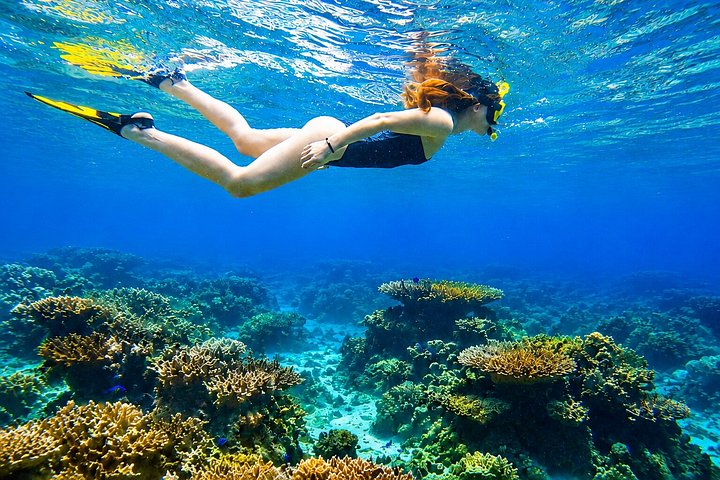 Tour privado de snorkel en la playa de Ishigaki y turismo en la isla