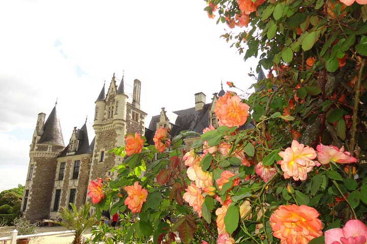 Excursão de meio dia pelos Anjou Gardens saindo de Angers