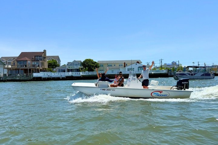 1 hora de festa privada Assateague Island Pony Cruise em Ocean City
