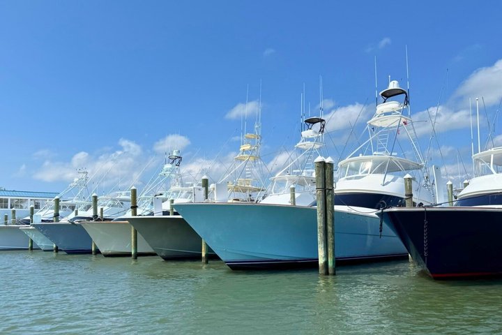 1 hora de festa privada Assateague Island Pony Cruise em Ocean City