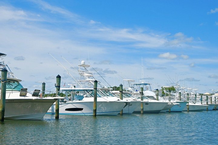 1 hora de festa privada Assateague Island Pony Cruise em Ocean City