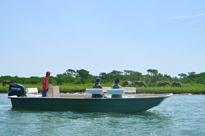 1 hora de festa privada Assateague Island Pony Cruise em Ocean City