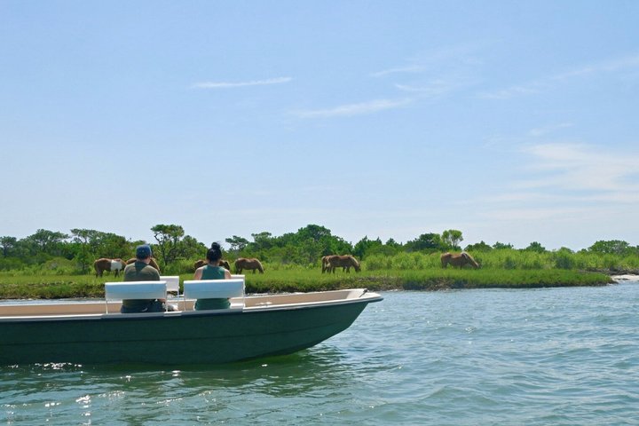 1 hora de festa privada Assateague Island Pony Cruise em Ocean City