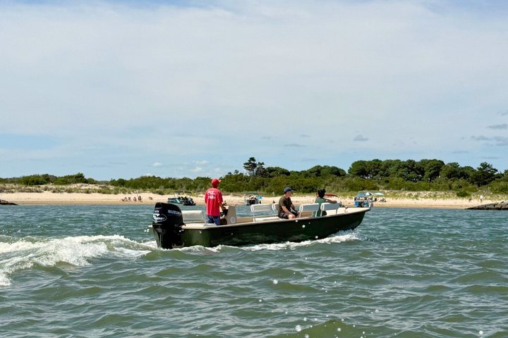 1 hora de festa privada Assateague Island Pony Cruise em Ocean City