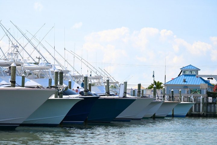 1 hora de festa privada Assateague Island Pony Cruise em Ocean City