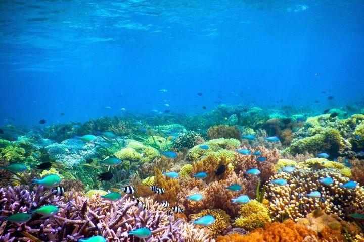 Tour privado de snorkel – Gili Kondo, Gili Bidara y Gili Kapal