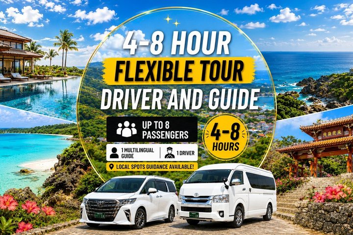 Excursão flexível de Okinawa - Condução e Guia incluídos 1-8 hóspedes (4 - 8H)