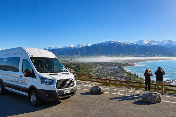 Kaikoura svømme med delfiner tur fra Christchurch