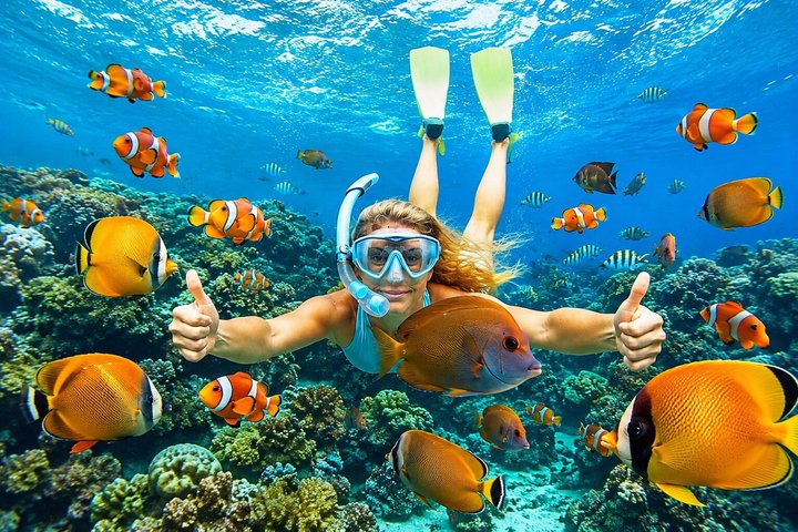 All Inclusive: Schnorcheln in der Blauen Lagune von Bali, Mittagessen und Transport