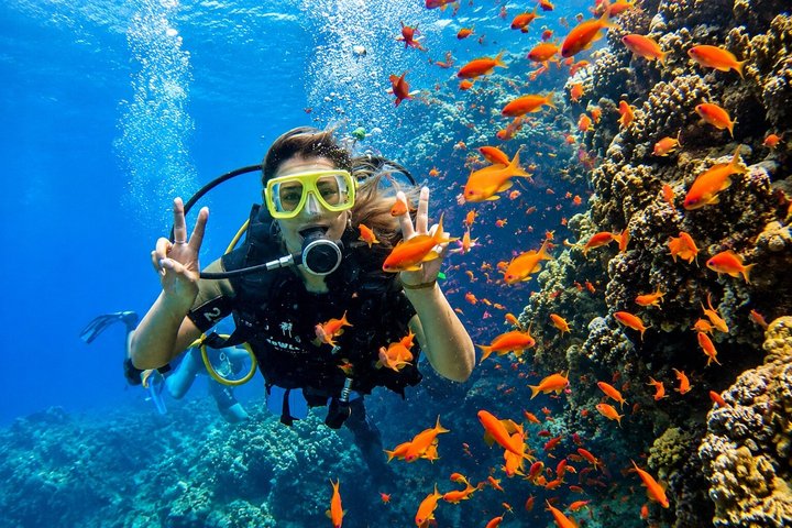 All Inclusive: Schnorcheln in der Blauen Lagune von Bali, Mittagessen und Transport