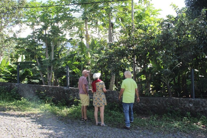 Full day tour of the island with lunch in Mosteiros