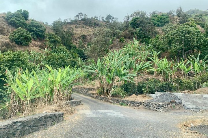 Full day tour of the island with lunch in Mosteiros