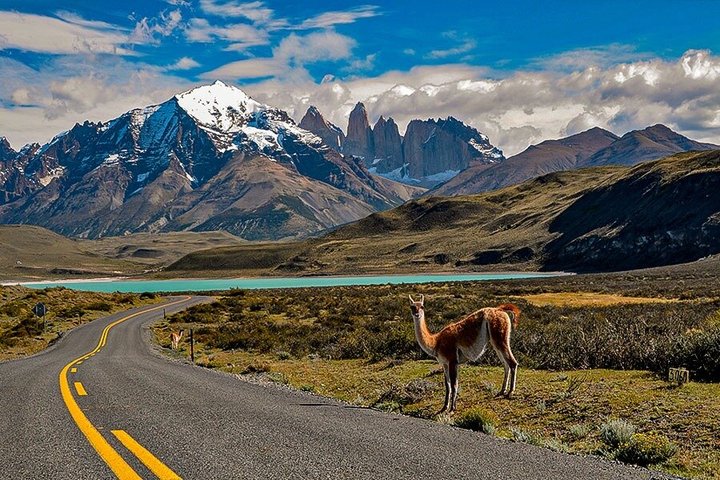 Heldagstur til Torres del Paine og gråseiling fra Punta Arenas