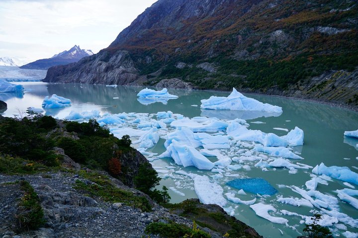 Heldagstur til Torres del Paine og gråseiling fra Punta Arenas